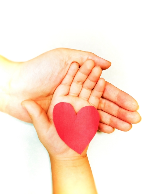 子供と大人の手