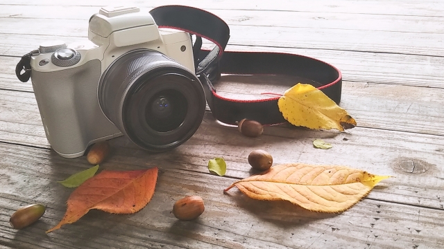 紅葉狩りに持っていくべき必需品10選！服装＆持ち物はこれで完璧持ち物