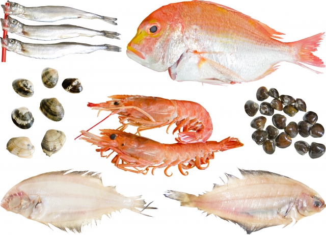 バーベキュー海鮮の買い出しはこれで完璧！失敗しない海鮮の焼き方は？下処理