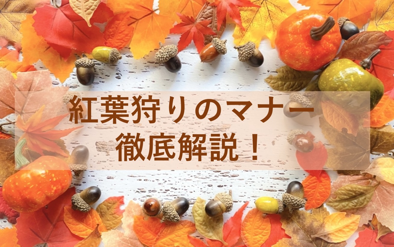 紅葉狩りのマナーを徹底解説！トラブルを避けて気持ちよく過ごそう