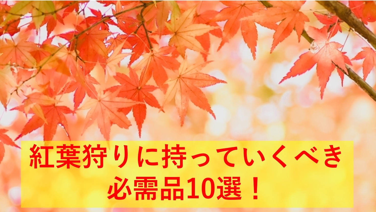 紅葉狩りに持っていくべき必需品10選！服装＆持ち物はこれで完璧