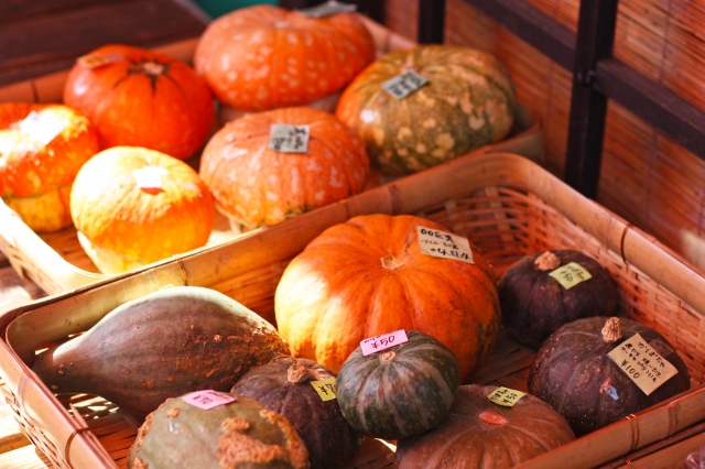 ハロウィンの食べ物の意味は？なぜかぼちゃがを使用するのかを解説！かぼちゃ