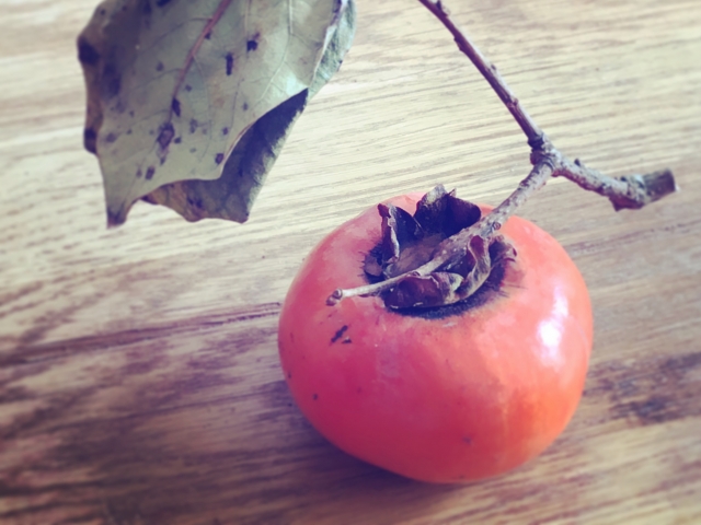 毎日柿を食べるとどうなる?薬膳にも使われる柿の効能とは？柿の効能