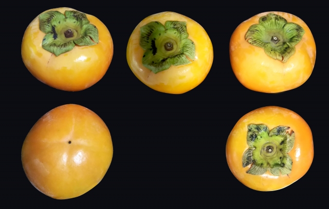 柿の効能で目が良くなる⁉柿を食べることでカラダに良い効果とは？目が良くなる？