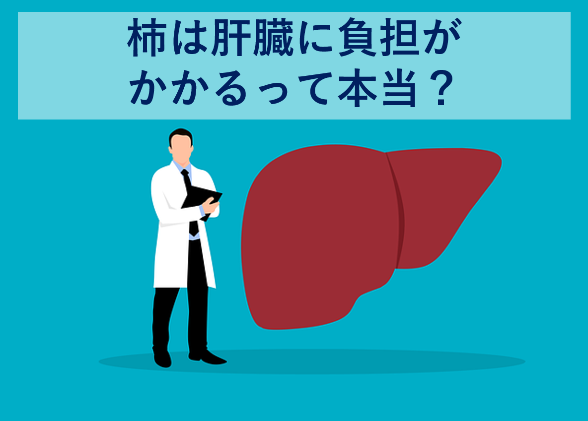 柿は肝臓に負担がかかるって本当？柿に含まれるアレを取りすぎると…