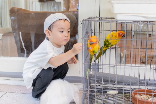 幼児期にふさわしい生活とは？幼児の自己表現と自己肯定感を促す方法_視覚的な刺激