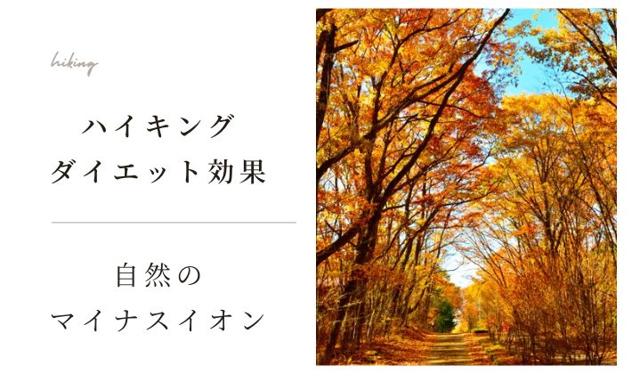 ハイキングでダイエット効果UP！マイナスイオンを浴びてカラダスッキリ