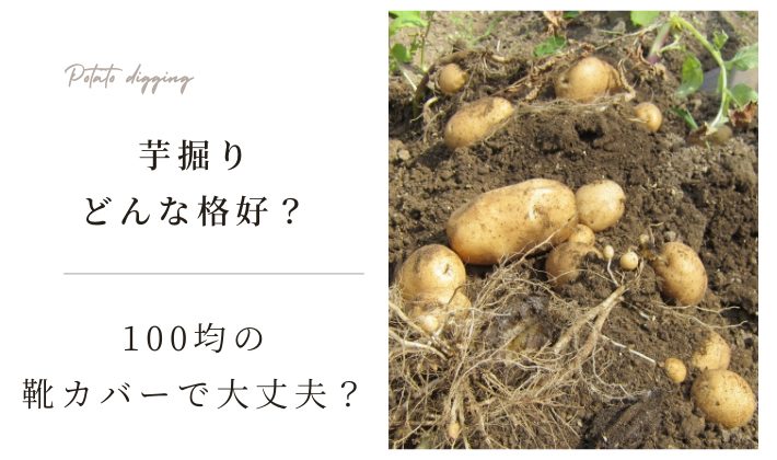 芋掘りするにはどんな格好がいい？靴カバーは100均ので大丈夫？