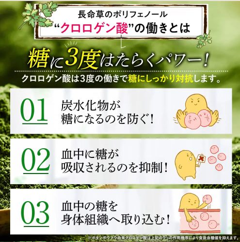 クロロゲン酸の働き